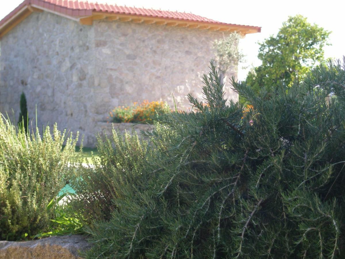 Eido Da Portela - Casa De Campo Carregadouro 외부 사진