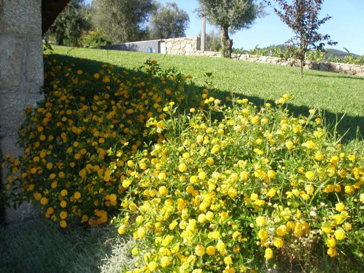 Eido Da Portela - Casa De Campo Carregadouro 외부 사진